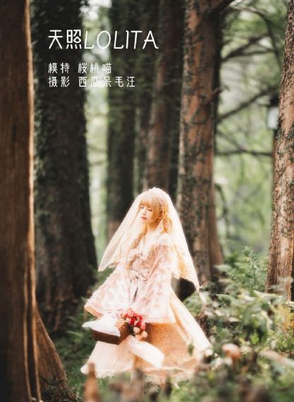 免费a漫h漫h网站_高清免费观看